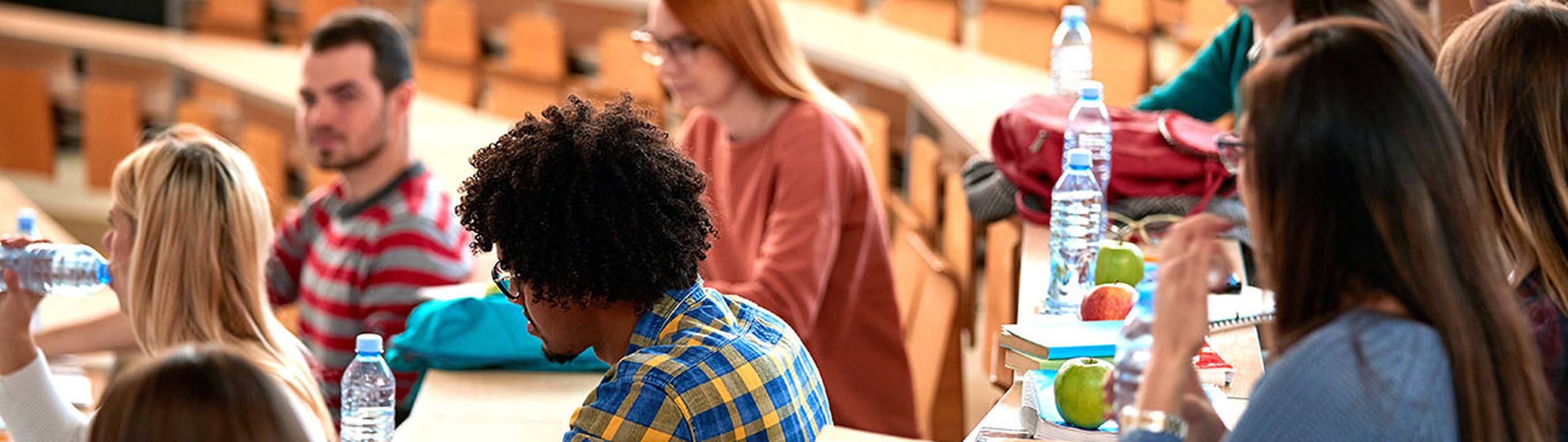 Conseillère Studento en accompagnement individuel avec une étudiante